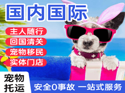 满洲里航空快递国际宠物托运 【国